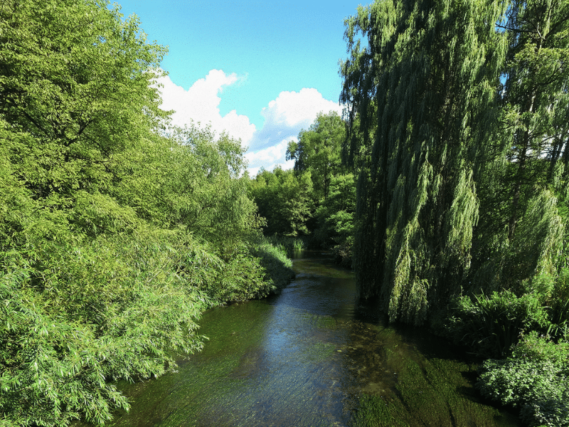 RiverMind Singing Workshops