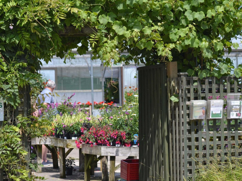 Wimborne Gardening Club