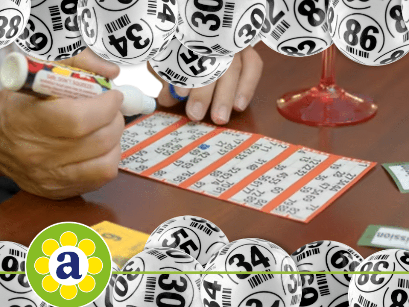 Allendale Bingo Nights