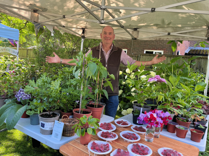 Traditional Summer Fete and Bake Off Competition