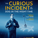 The Curious Incident Of The Dog In The Night Time – Revive Theatre